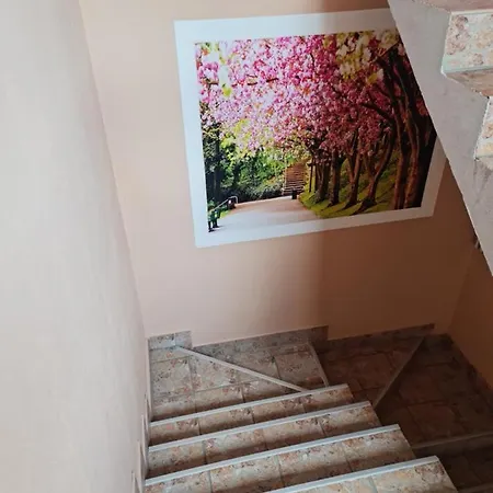 Apartman's Ana Pale-oc Jahorina No.2 * Пале